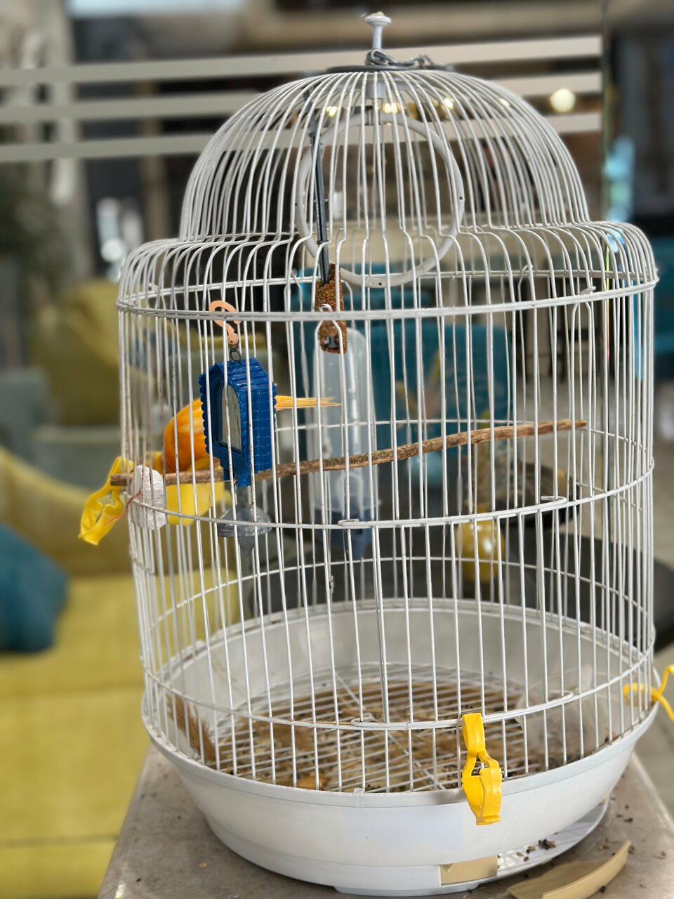 Отель Голубая лагуна Анапа-74