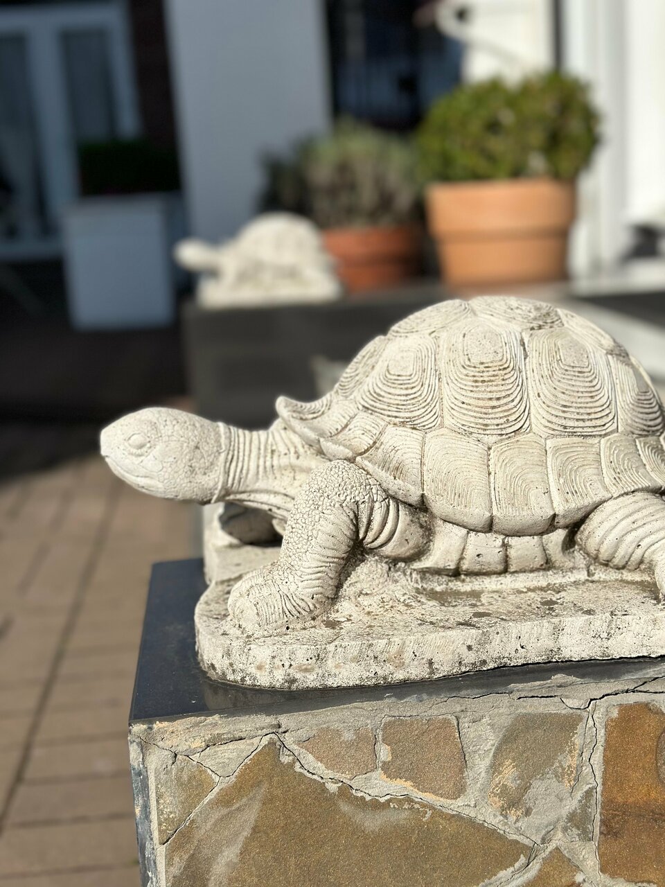 Отель Голубая лагуна Анапа-49