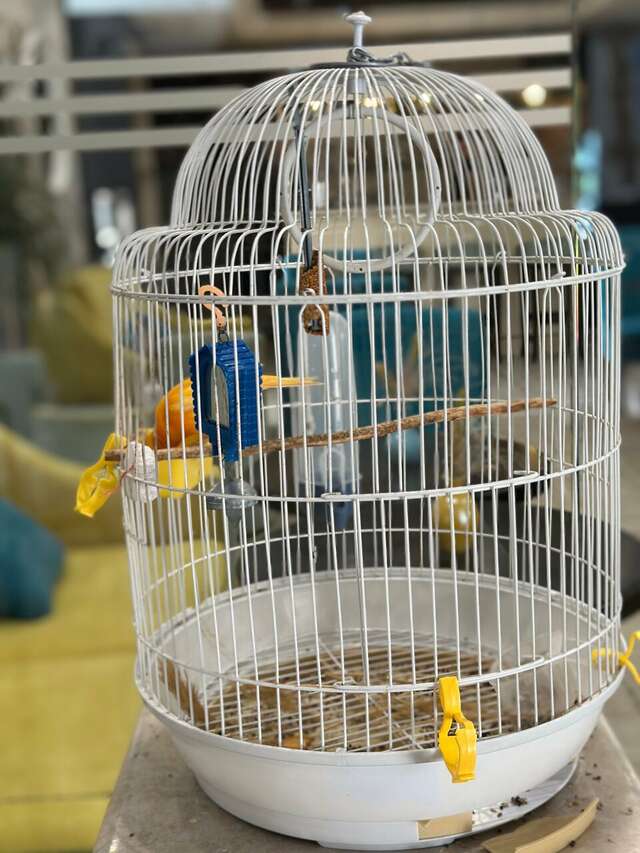 Отель Голубая лагуна Анапа-73