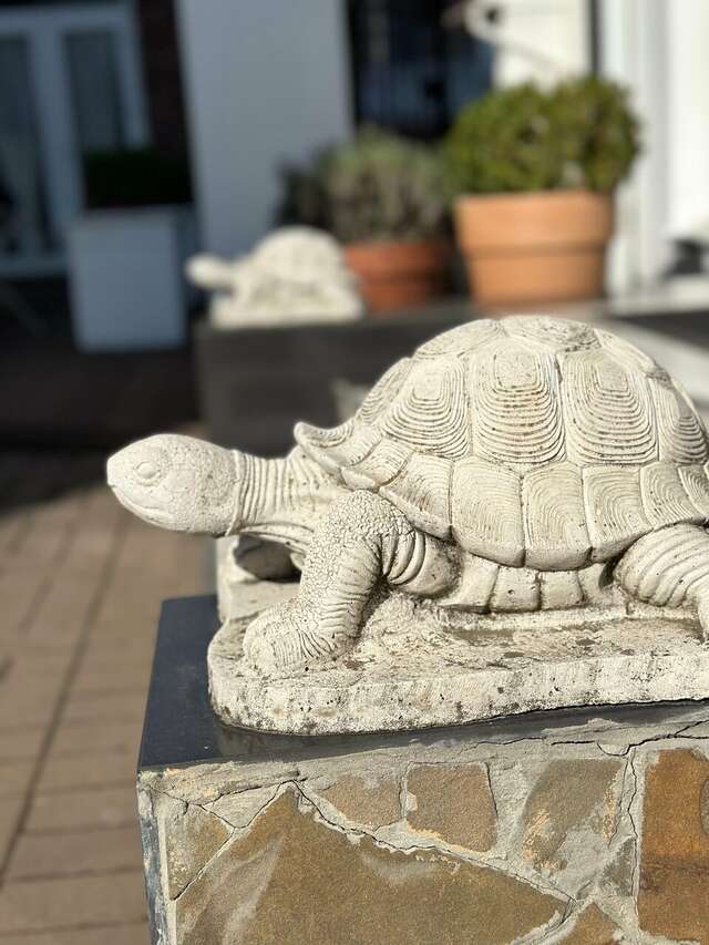 Отель Голубая лагуна Анапа-48