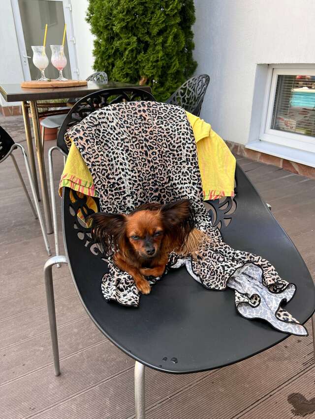 Отель Голубая лагуна Анапа-59