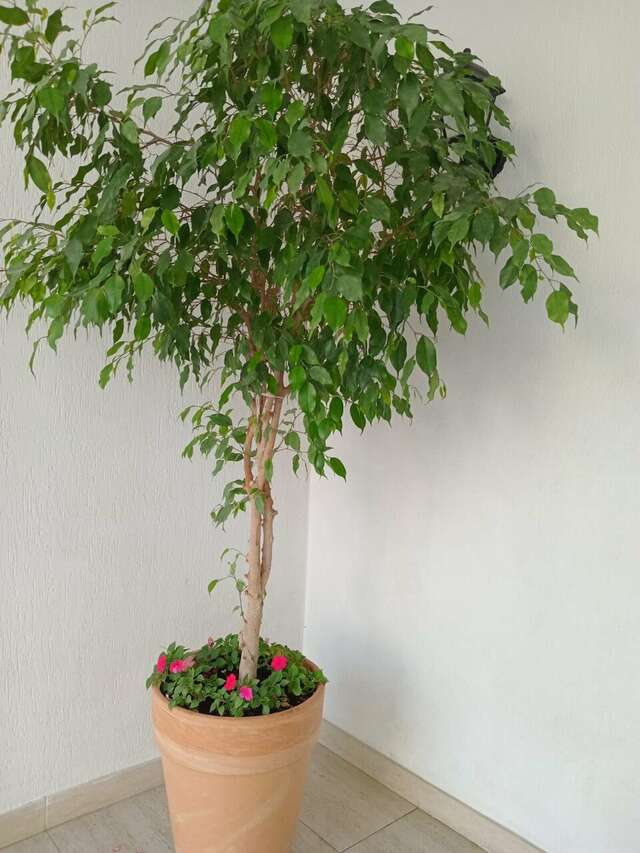 Отель Голубая лагуна Анапа-64